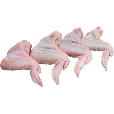 ASA DE FRANGO KG