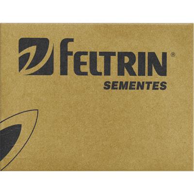 MIX DE SEMENTES DE TEMPEROS E ERVAS FELTRIN 1UN