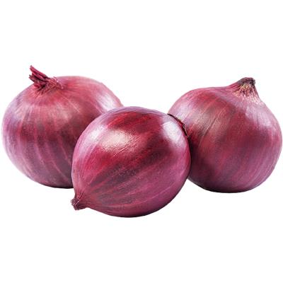 CEBOLA ROXA KG