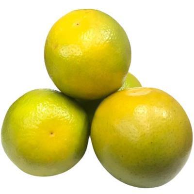 LARANJA PERA RIO KG