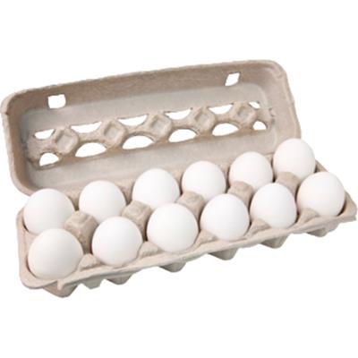 OVO EXTRA BRANCO OGASAWARA 12UN