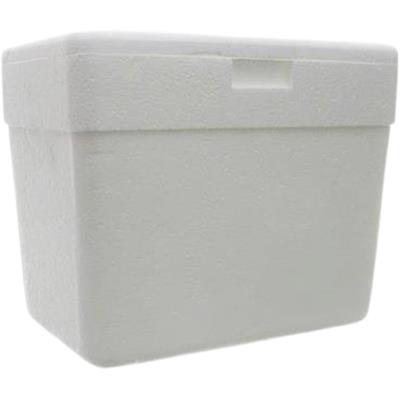 CAIXA TÉRMICA 18L ISOTERM 1UN