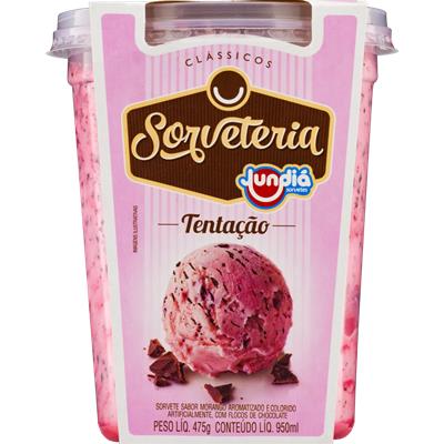 Temos ituzinho sorvete no saquinho - Sorveteria novo sabor