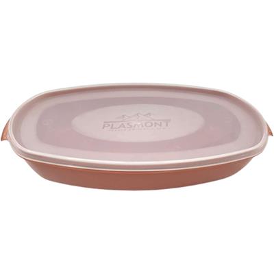 POTE RETANGULAR ROSA CREATIVE 2,2L PLASMONT 1UN