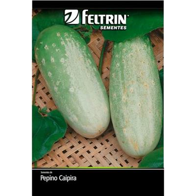SEMENTE PEPINO ESMERALDA CAIPIRA FELTRIN 1G