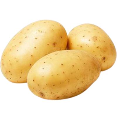 BATATA TIPO EXTRA KG