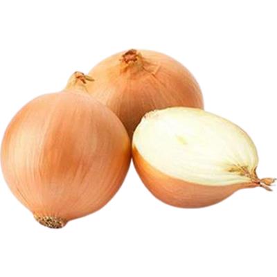 CEBOLA KG