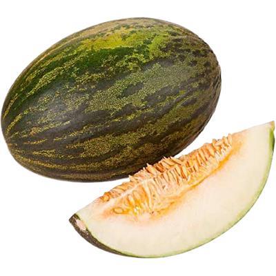 MELÃO SAPO KG