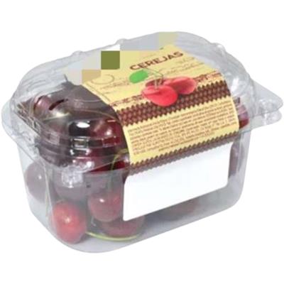 CEREJA 500G