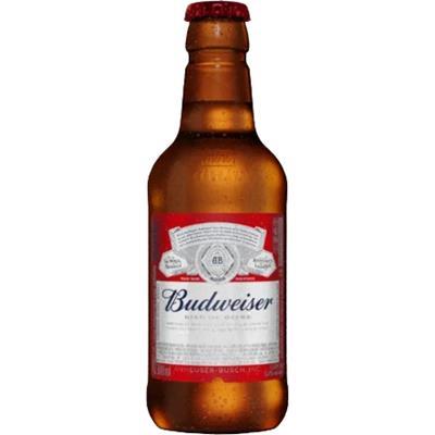 CERVEJA RETORNÁVEL BUDWEISER 300ML